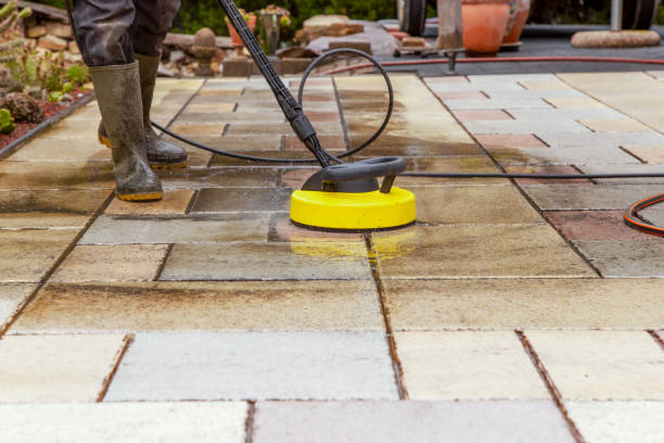 Best Solar Panel Cleaning  in Westwood, PA