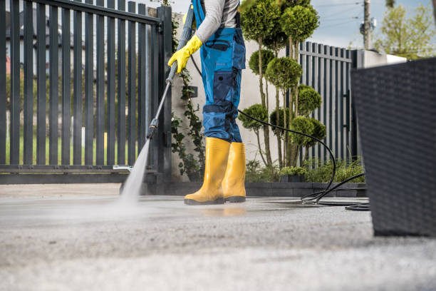 Best Driveway Pressure Washing  in Westwood, PA